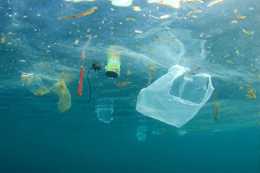 Poll-sacs-plastiqte Poll-sacs-plastiqte
