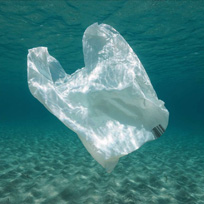 expertise-plastique